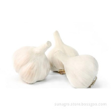 Best round garlic bag